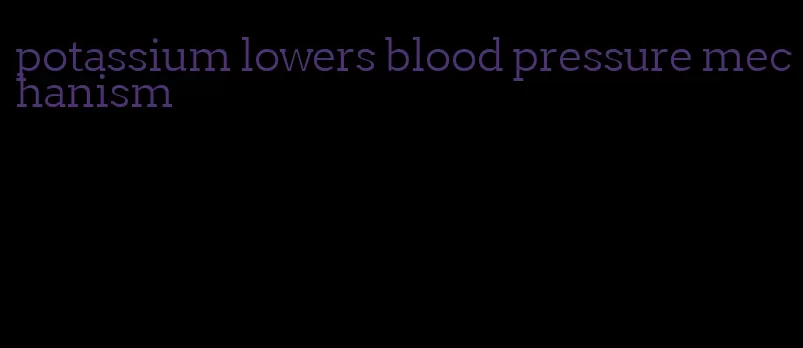 potassium lowers blood pressure mechanism