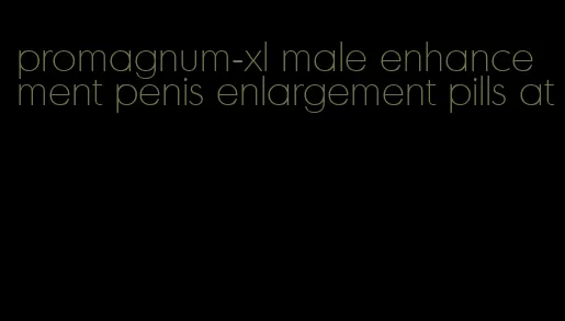 promagnum-xl male enhancement penis enlargement pills at