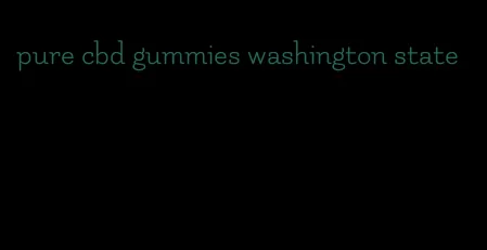 pure cbd gummies washington state