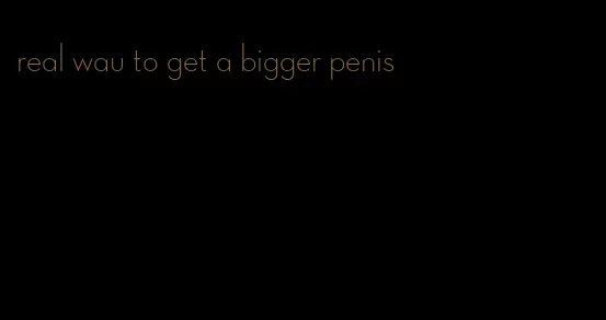 real wau to get a bigger penis