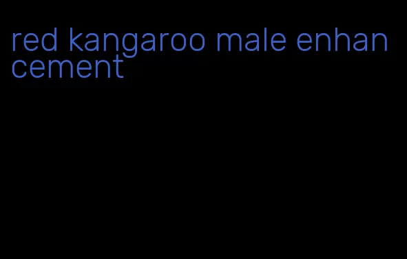 red kangaroo male enhancement