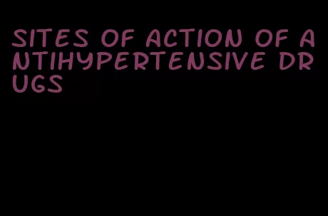 sites of action of antihypertensive drugs