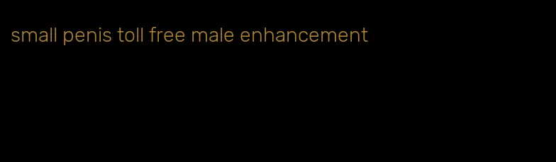 small penis toll free male enhancement