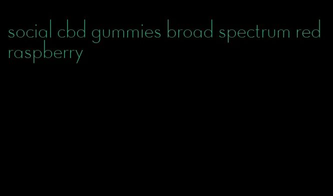 social cbd gummies broad spectrum red raspberry