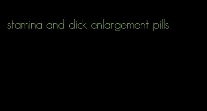 stamina and dick enlargement pills