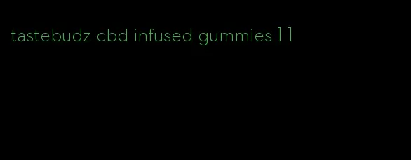 tastebudz cbd infused gummies 1 1