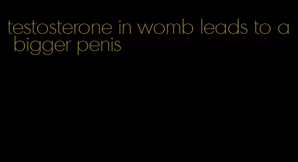 testosterone in womb leads to a bigger penis