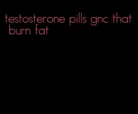 testosterone pills gnc that burn fat