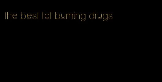 the best fat burning drugs