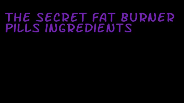 the secret fat burner pills ingredients