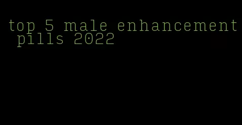 top 5 male enhancement pills 2022