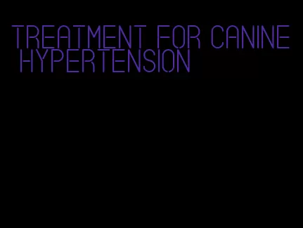 treatment for canine hypertension