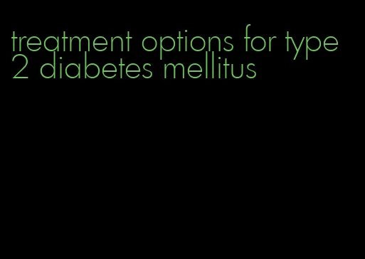 treatment options for type 2 diabetes mellitus