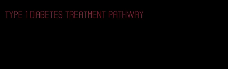 type 1 diabetes treatment pathway