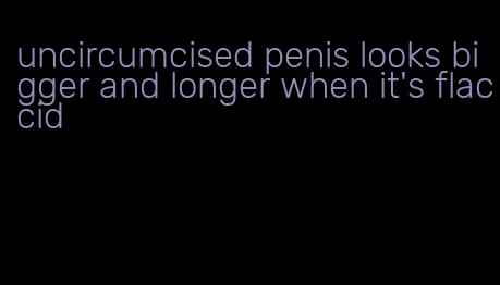 uncircumcised penis looks bigger and longer when it's flaccid