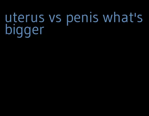 uterus vs penis what's bigger