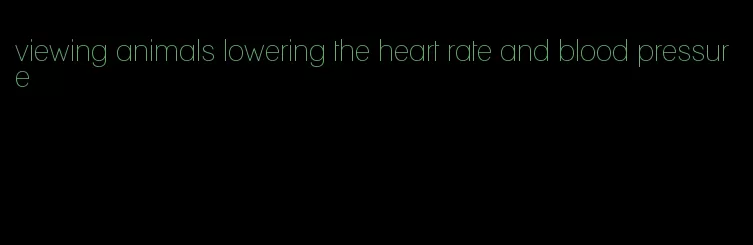 viewing animals lowering the heart rate and blood pressure