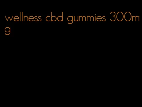 wellness cbd gummies 300mg