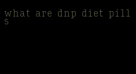 what are dnp diet pills