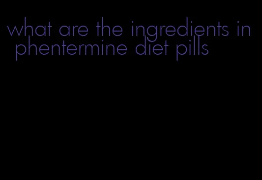 what are the ingredients in phentermine diet pills