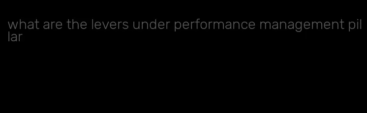 what are the levers under performance management pillar