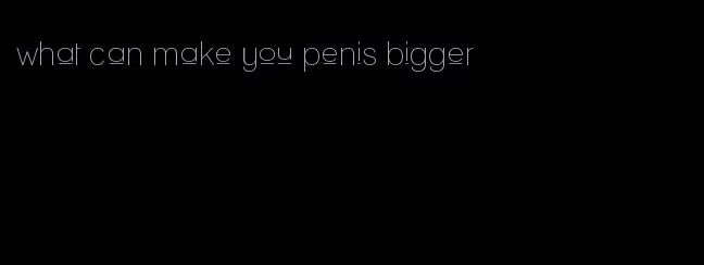 what can make you penis bigger