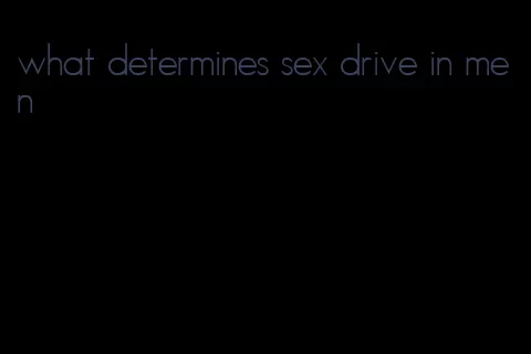 what determines sex drive in men