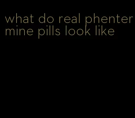 what do real phentermine pills look like