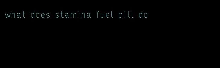 what does stamina fuel pill do