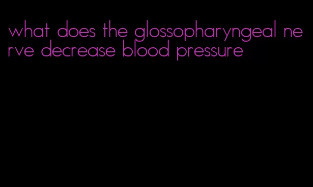 what does the glossopharyngeal nerve decrease blood pressure