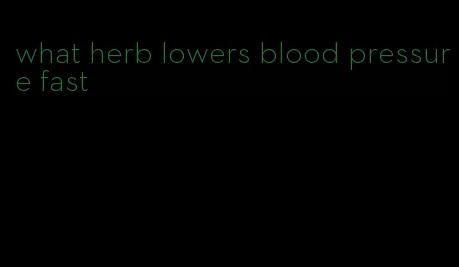 what herb lowers blood pressure fast