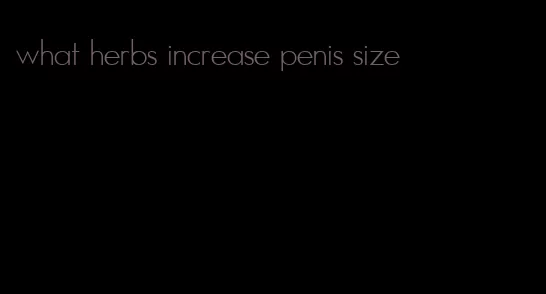 what herbs increase penis size