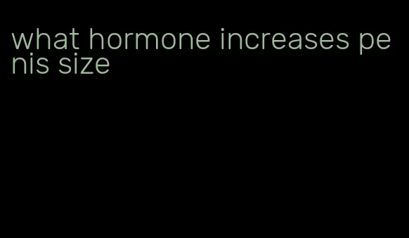 what hormone increases penis size