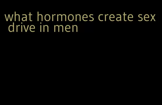 what hormones create sex drive in men