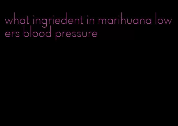 what ingriedent in marihuana lowers blood pressure