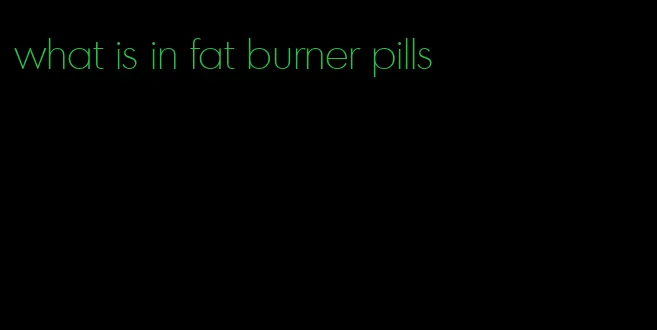 what is in fat burner pills