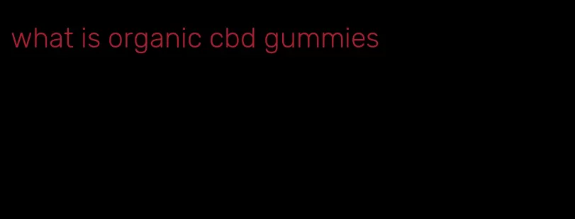 what is organic cbd gummies