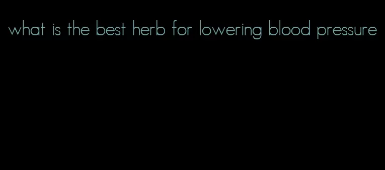 what is the best herb for lowering blood pressure