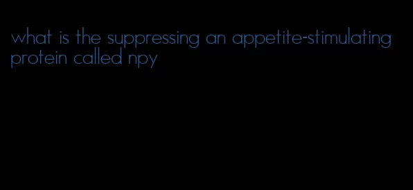 what is the suppressing an appetite-stimulating protein called npy