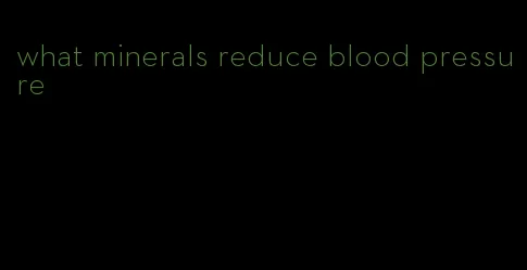 what minerals reduce blood pressure