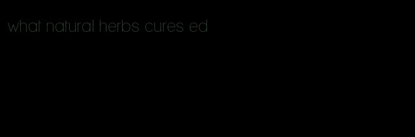 what natural herbs cures ed