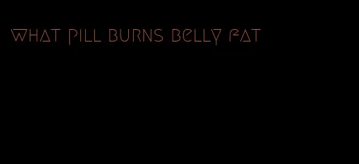 what pill burns belly fat