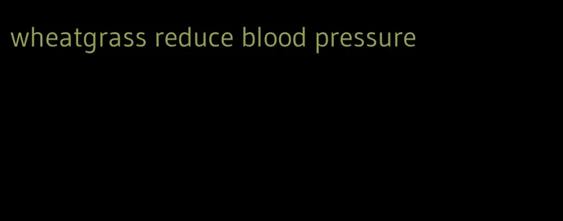 wheatgrass reduce blood pressure