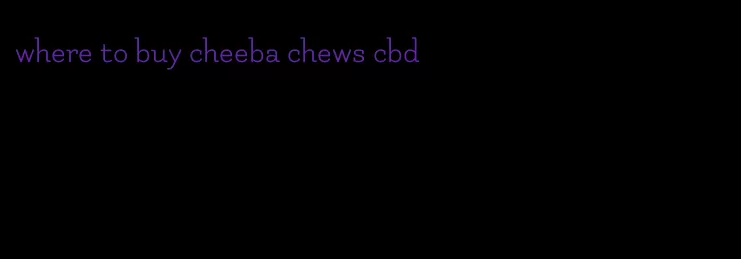 where to buy cheeba chews cbd