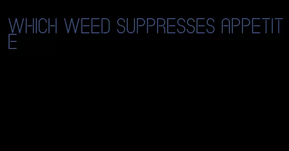 which weed suppresses appetite