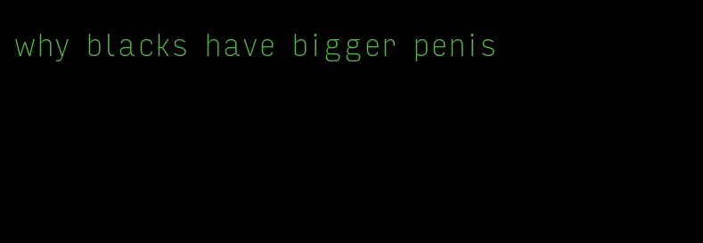 why blacks have bigger penis