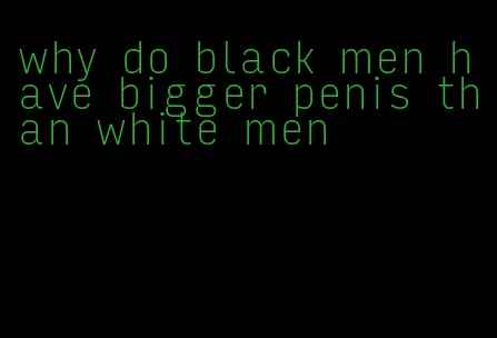 why do black men have bigger penis than white men