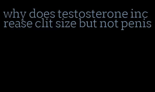 why does testosterone increase clit size but not penis