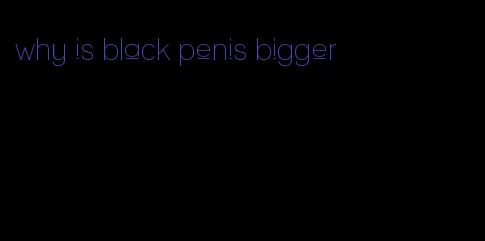 why is black penis bigger