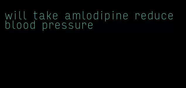 will take amlodipine reduce blood pressure